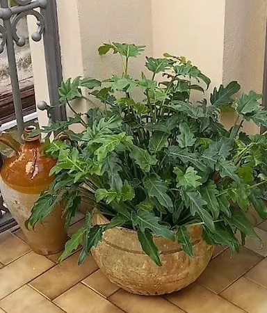 Oro Blu 度假居