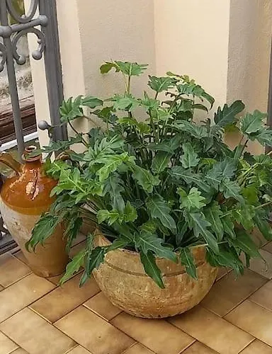 Oro Blu بيت للعطل